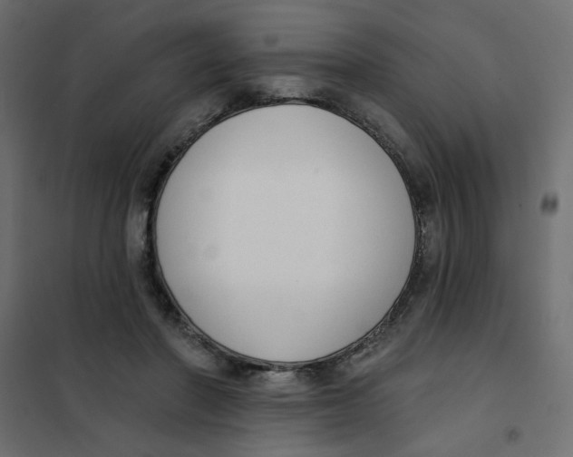 X0000102000406200808081705