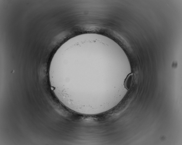 X0000102000407200808081705