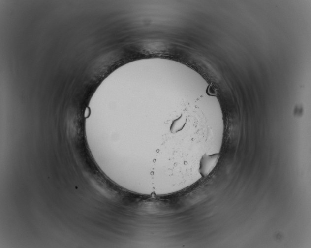 X0000102000408200808081705