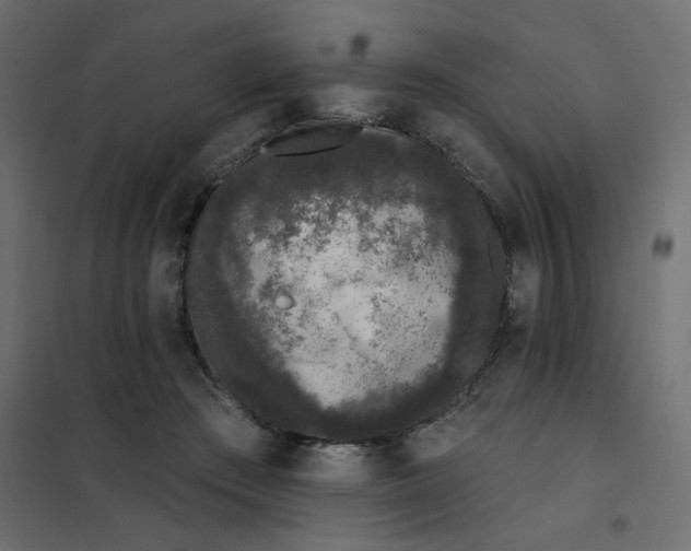 X0000102000409200808081705