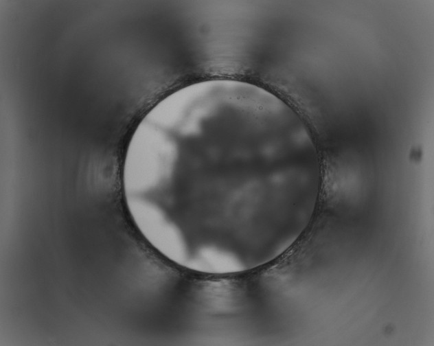 X0000102000411200808081705