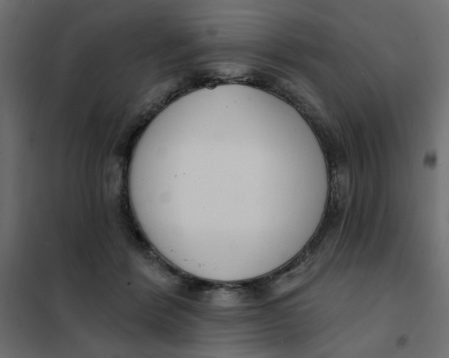 X0000102000412200808081705