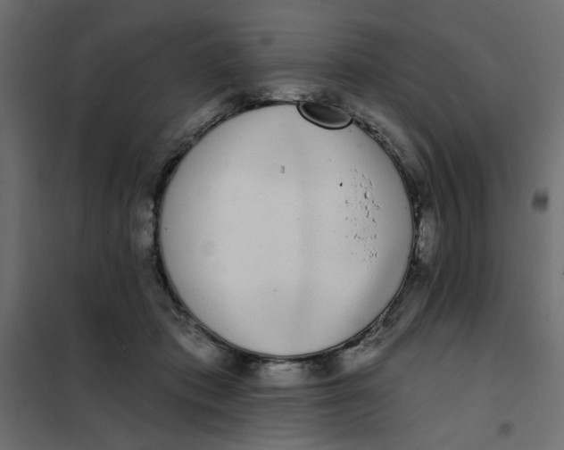 X0000102000413200808081705