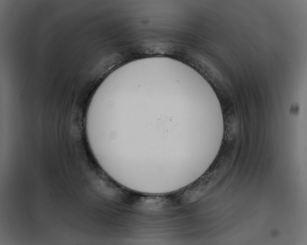 X0000102000414200808081705