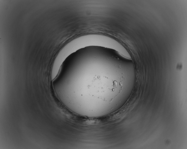 X0000102000415200808081705