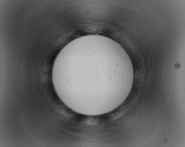 X0000102000416200808081705