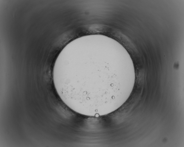 X0000102000418200808081705