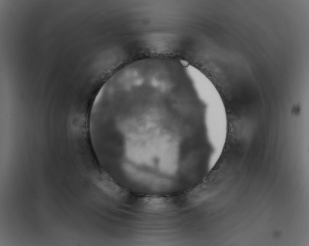 X0000102000419200808081705