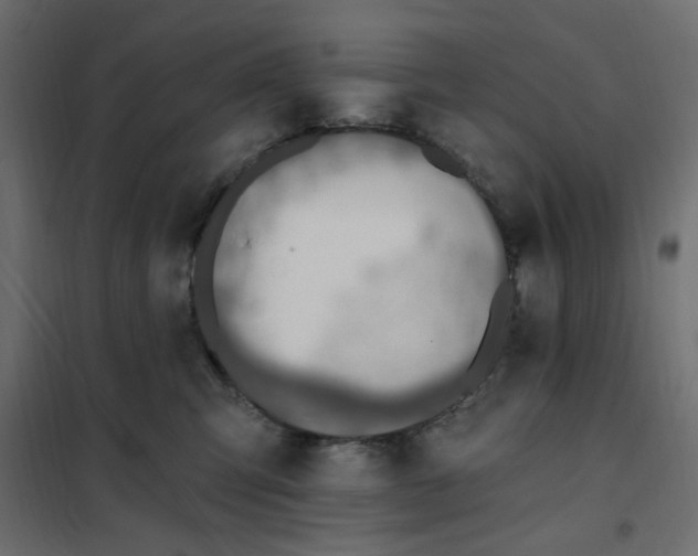 X0000102000423200808081705