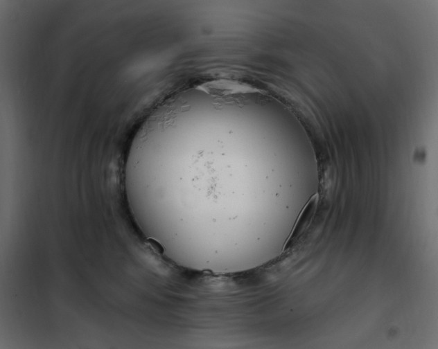 X0000102000424200808081705