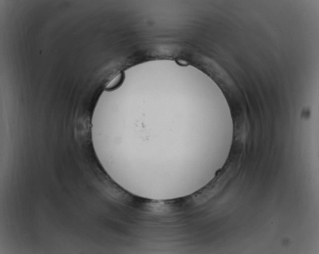 X0000102000425200808081705