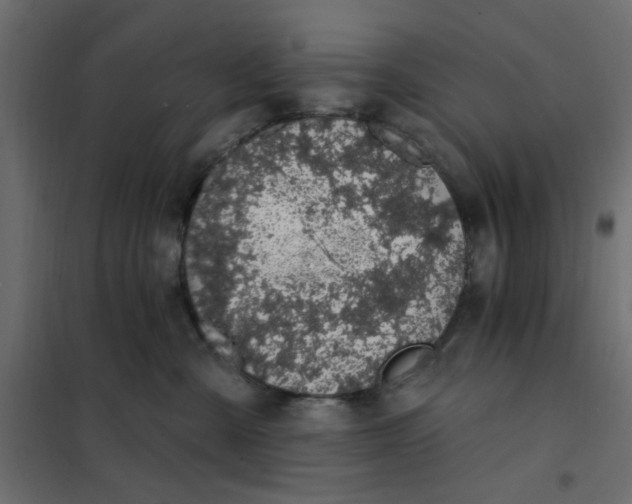 X0000102000427200808081705