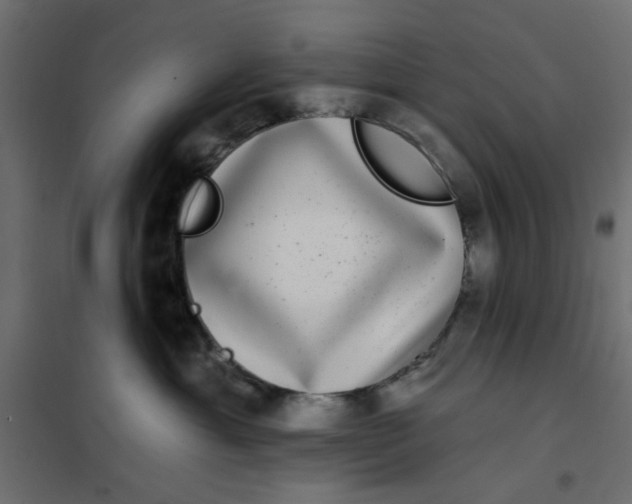 X0000102000429200808081705