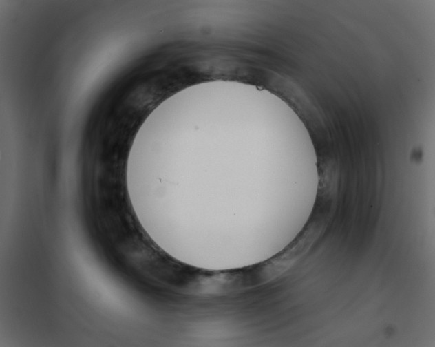 X0000102000430200808081704