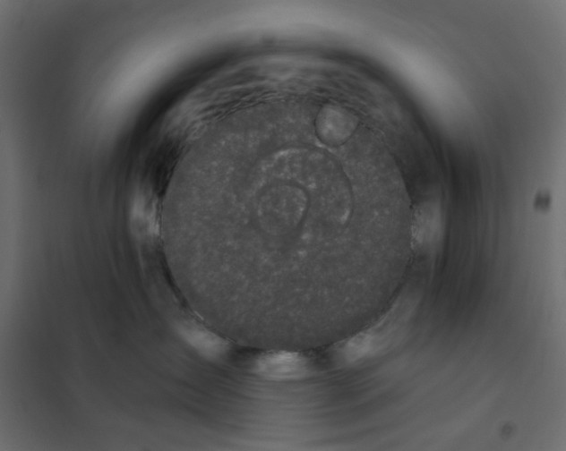 X0000102000431200808081704