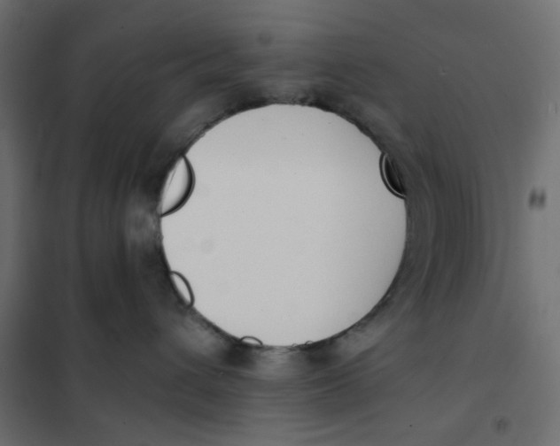 X0000102000432200808081704