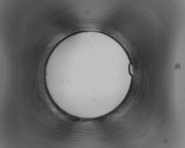 X0000102000433200808081704