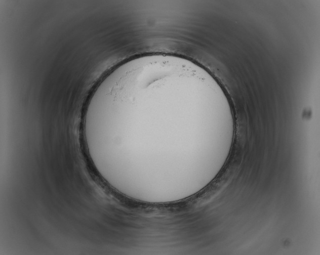 X0000102000434200808081704