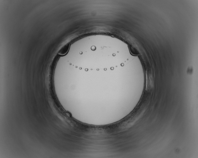 X0000102000435200808081704