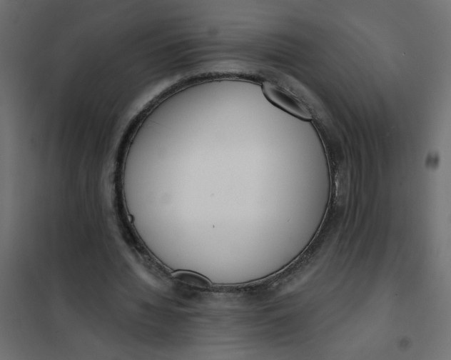 X0000102000436200808081704