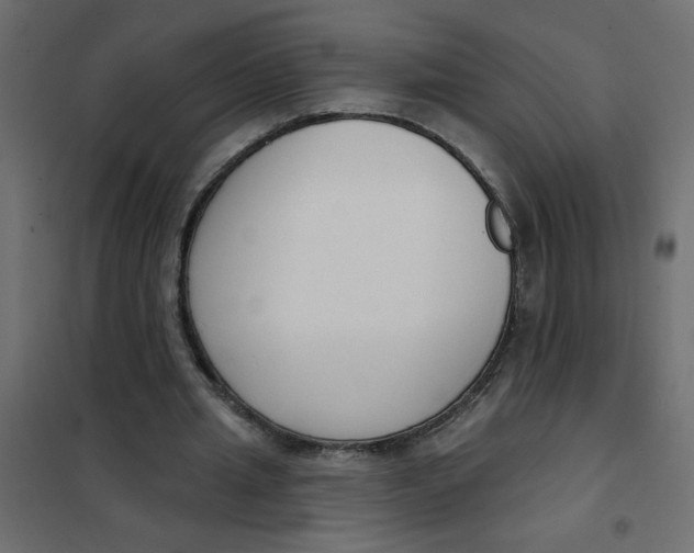 X0000102000437200808081704