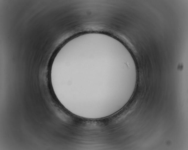 X0000102000439200808081704