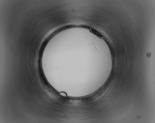 X0000102000440200808081704