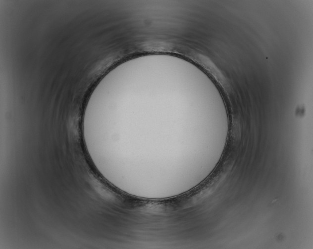 X0000102000441200808081704