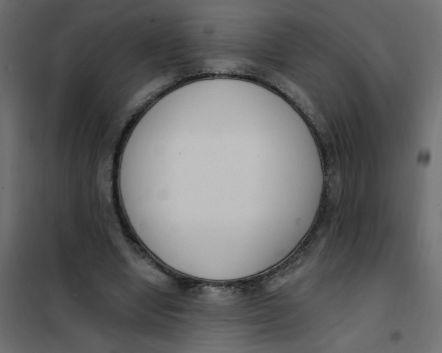 X0000102000442200808081704