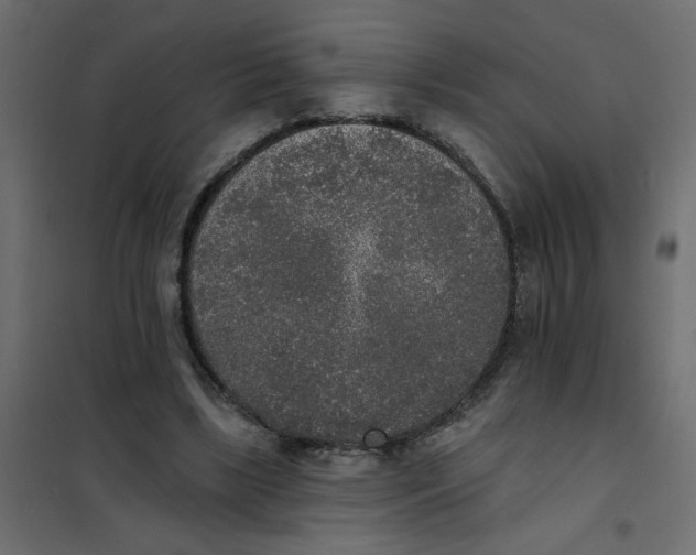 X0000102000443200808081704