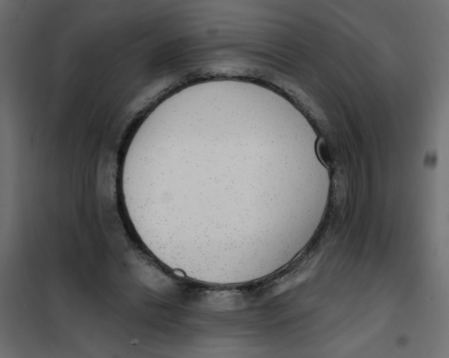 X0000102000446200808081704