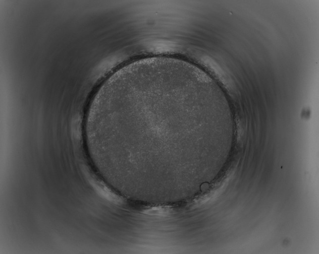 X0000102000447200808081704