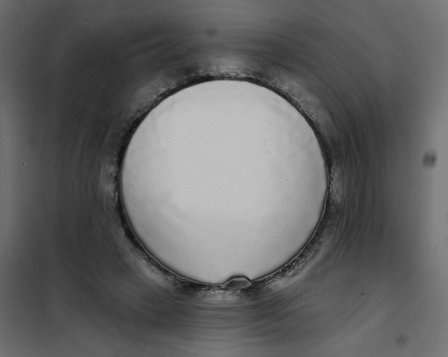 X0000102000449200808081704