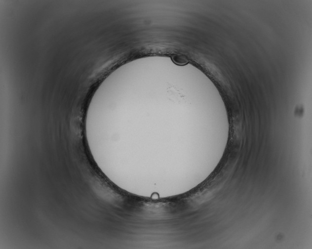 X0000102000450200808081704