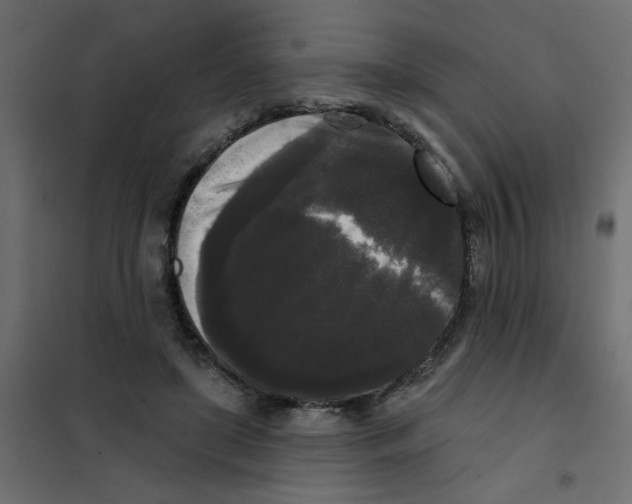 X0000102000451200808081704