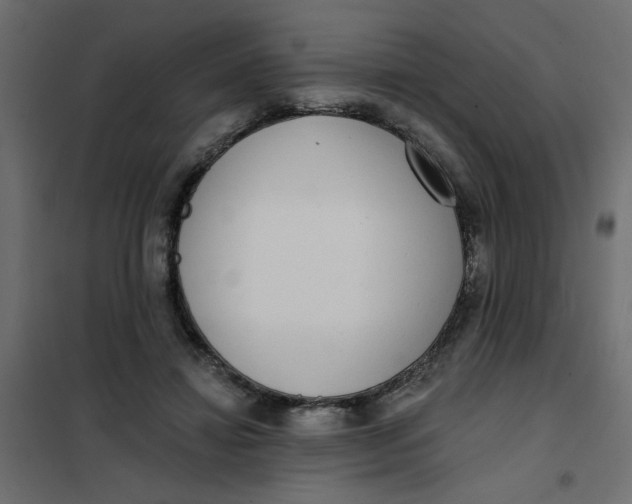 X0000102000452200808081704