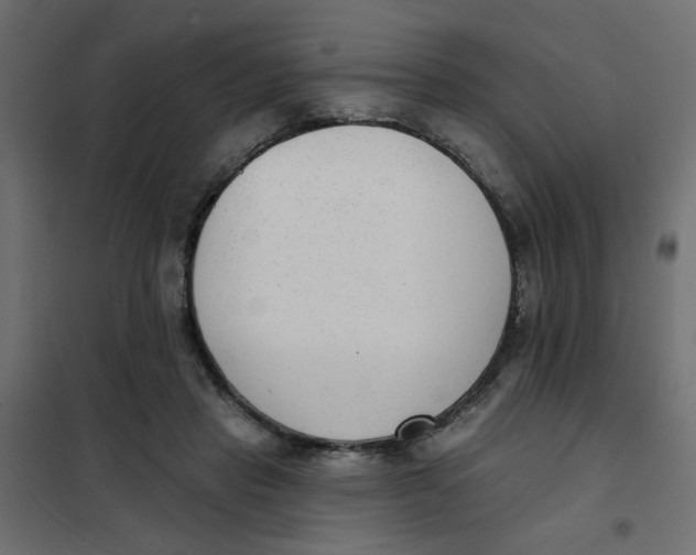 X0000102000453200808081704