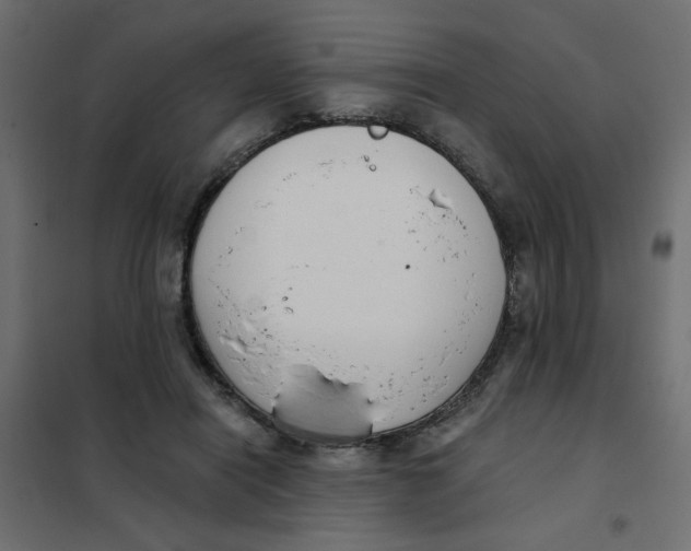 X0000102000454200808081704