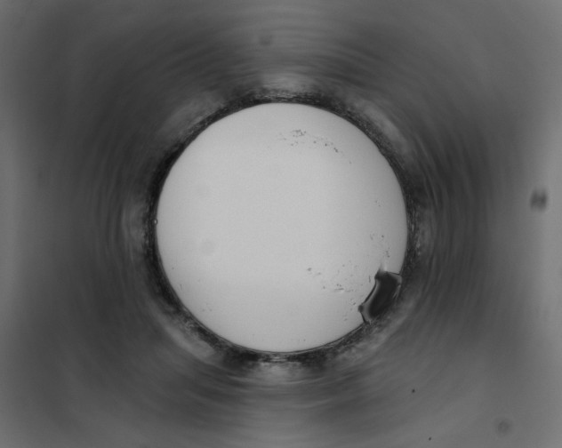 X0000102000455200808081704