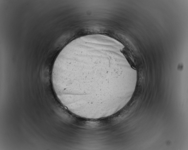 X0000102000457200808081704