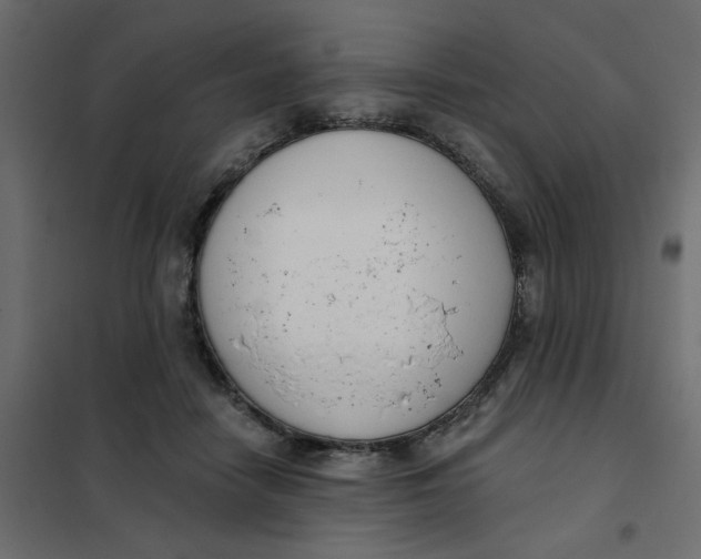 X0000102000458200808081704