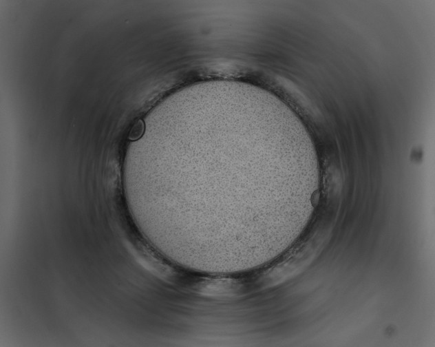 X0000102000459200808081704