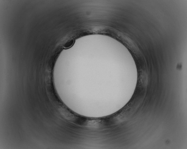 X0000102000461200808081704