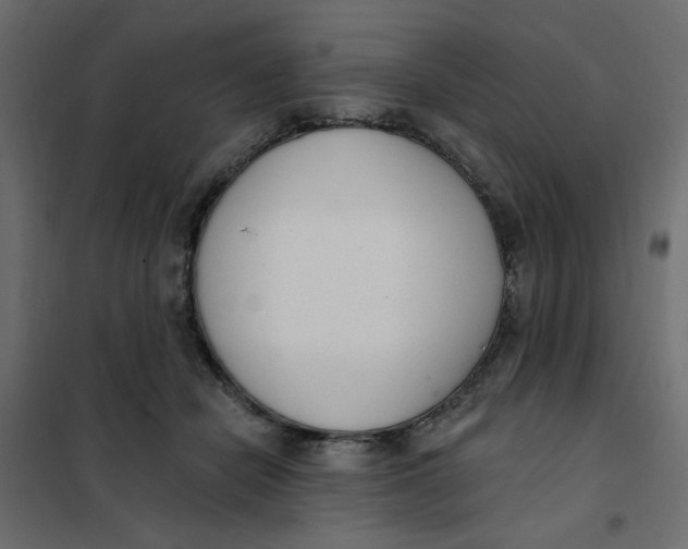 X0000102000462200808081704