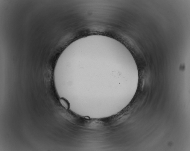 X0000102000463200808081704