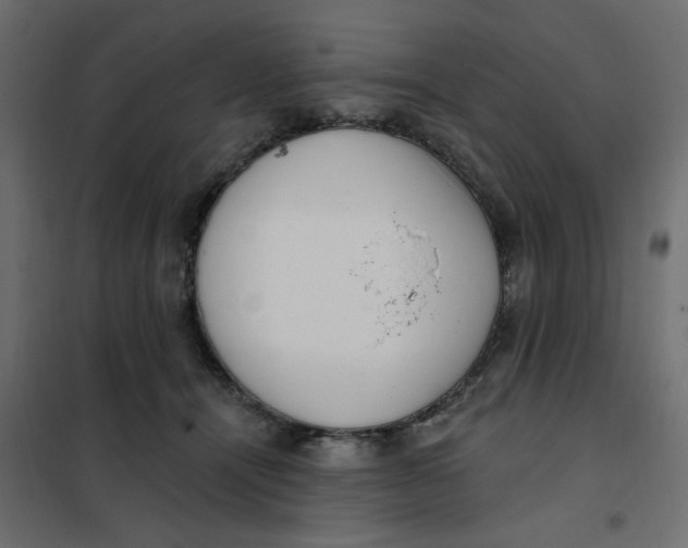 X0000102000464200808081704