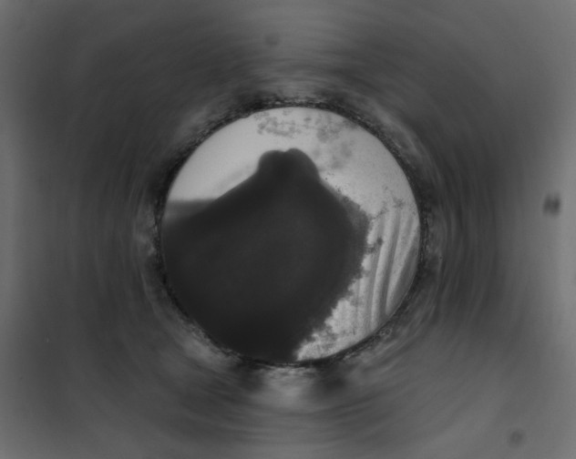 X0000102000465200808081704