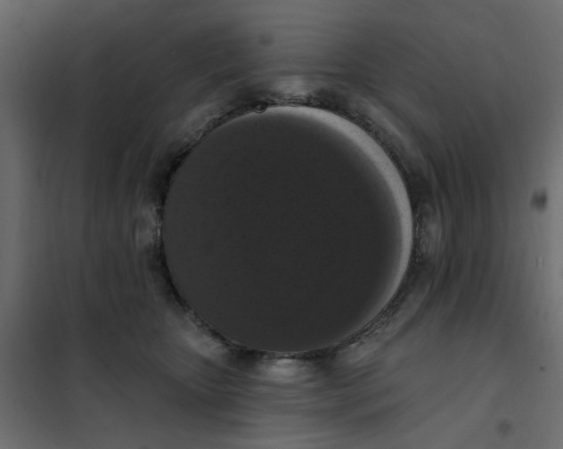 X0000102000467200808081704