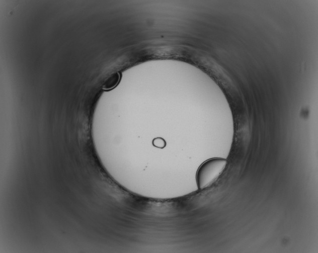 X0000102000469200808081704