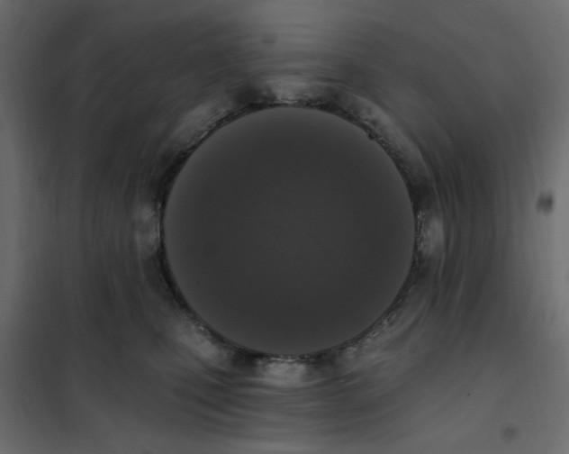 X0000102000471200808081704